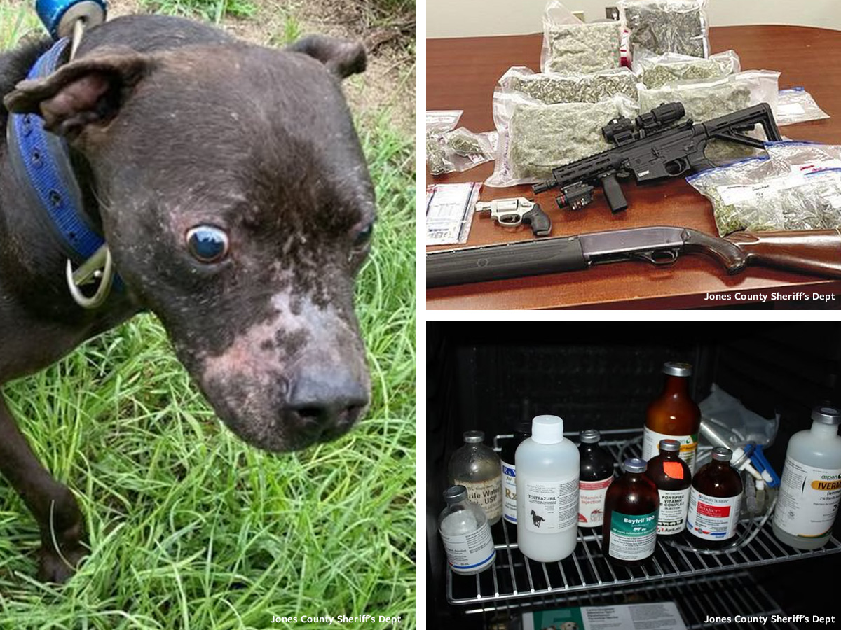 In Defense of Animals