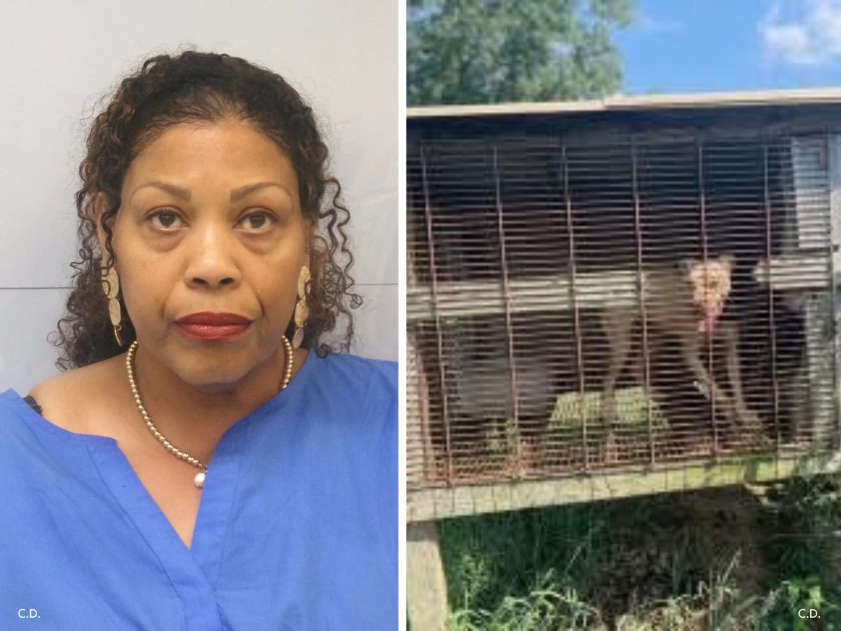 In Defense of Animals