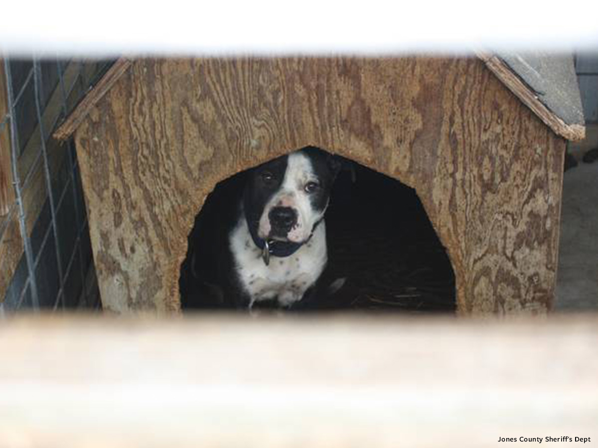 In Defense of Animals