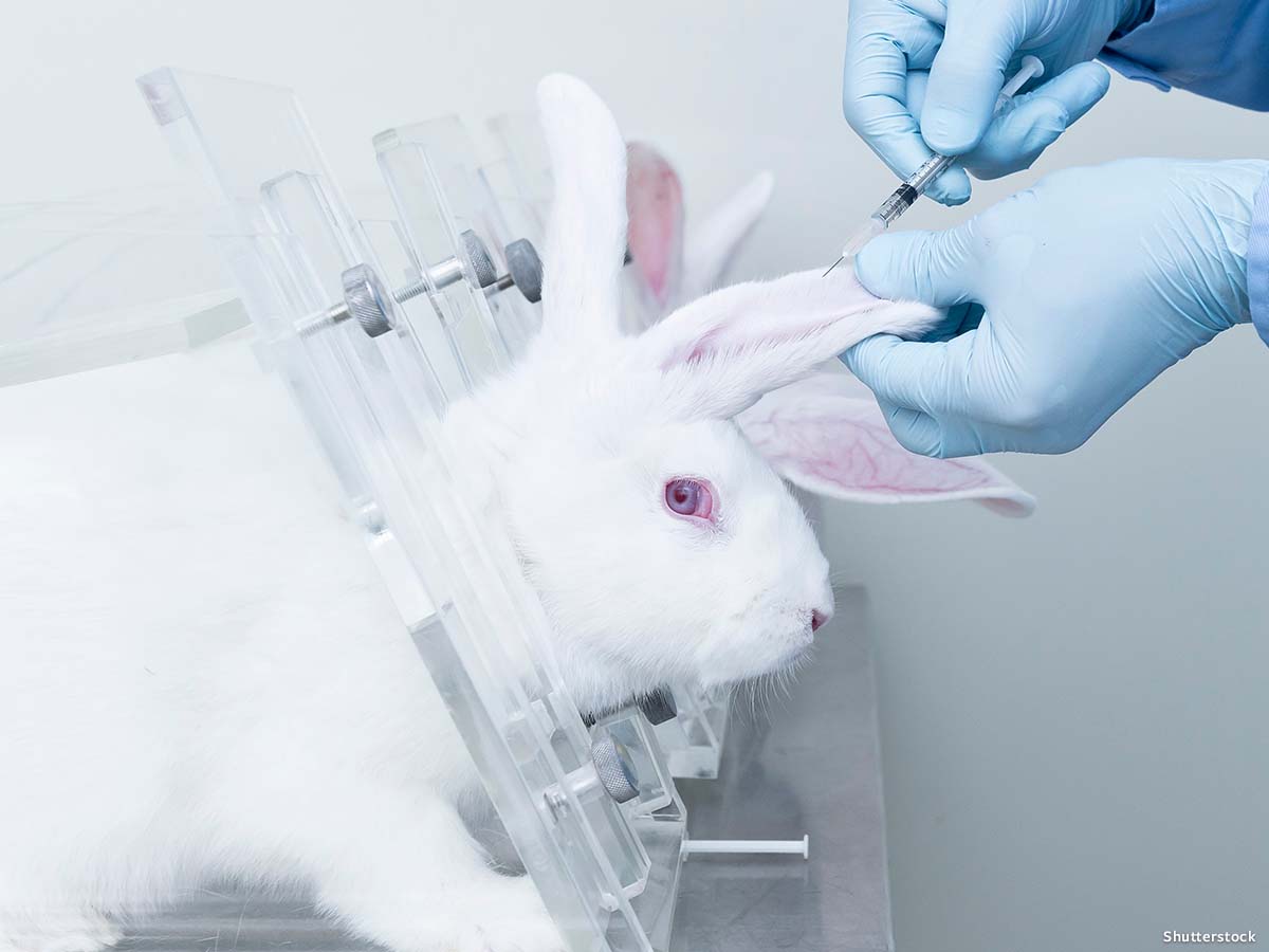 In Defense of Animals